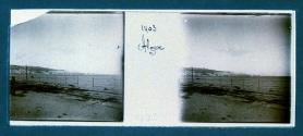 Alger