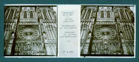ALSACE LORRAINE Strasbourg La Cathedrale Rosaces et ogives (deformatio