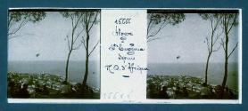 Alger St Eugenia Sepuio N.D.S. Afrique