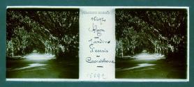 Alger Jardin d'essais Caoutchouc