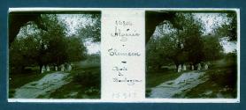 Algerie Tlemecen Bois de Bordogne