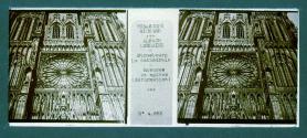 ALSACE LORRAINE Strasbourg La Cathedrale Rosaces et ogives (deformatio