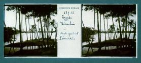 Egypte Bidrachin Oasis pendant linondetian