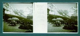 Suisse Oberland Bernois Petit Scheidegg L'Hotel la terrasse