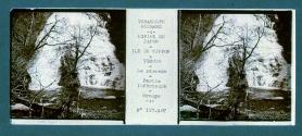 Empire Du Japon Ile De Nippon Yumoto La cascade Partie Inferiure Group