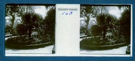 [View of park]