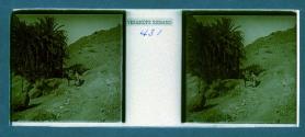 [Guide leading woman on mule]