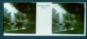 [Fountain and geese in park]