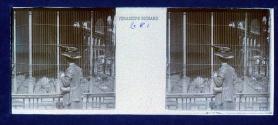 [Woman looking at animal in zoo cage]