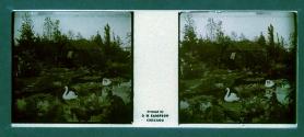 [Shack and pond]