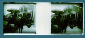 [Horse and buggy on street]