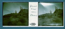 Desert view near Phoenix