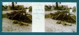 Eselfy Cadavre allervard 192