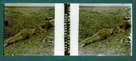 Cadavres de soldats Allemands
