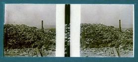 Verdun Ossaire