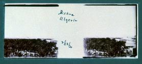 Biskra Algeria 2/13/30