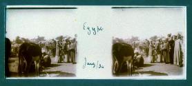 Egypt Jany/30