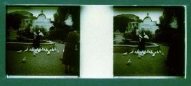 [Woman by fountain with birds]