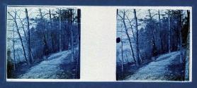 [Woman on path through woods]