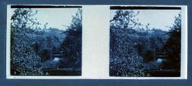 [View of hillside]