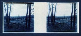 [Landscape]