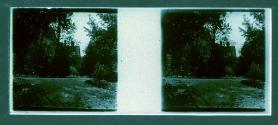 [Garden with house in backround]