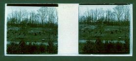 [Field]