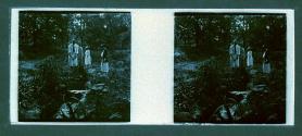 [People in garden]
