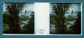 [Trees and beach]