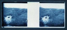 [Landscape with water]