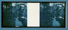 [Path through woods]