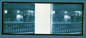 [View of landscape from porch]