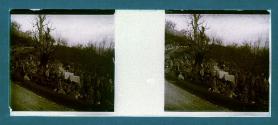 [Encampment]