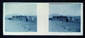 [Unid. group with camels and mules]
