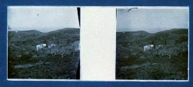 [View of landscape with castle]