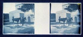 [Man holding two horses]