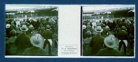 [Crowd watching outdoor boxing match]