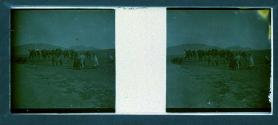 [Unid. group with camels and mules]