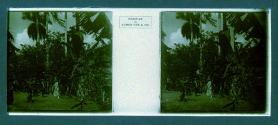 [Woman and two men in park]