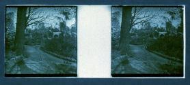 [Woman and dog in garden]