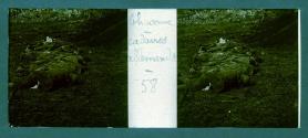 Chavonne cadavres allemands
