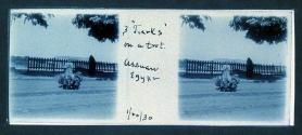 3 "Turks" in a trot Assuan Egypt 1/20/30