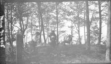 Outdoor Picnic, Automobile Trip