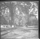 Horse drawn wagon on road