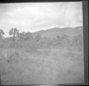 View from train-field