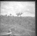 View from train