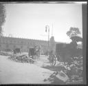 Horse drawn carriage on city street