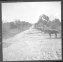 Country road