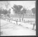 Garden area