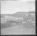 Ox-cart, men working